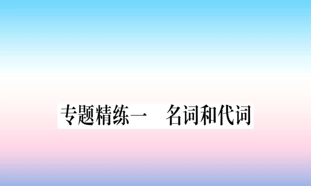 中考英语准点备考 专题精练一 名词和代词课件
