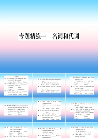 中考英语准点备考 专题精练一 名词和代词课件