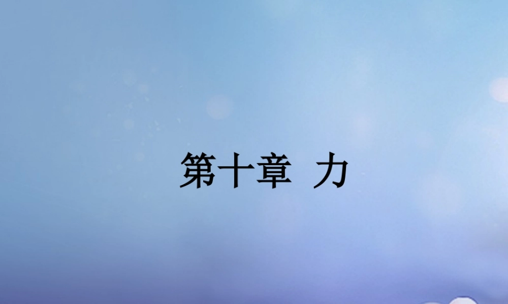 中考物理总复习 第十章 力课件