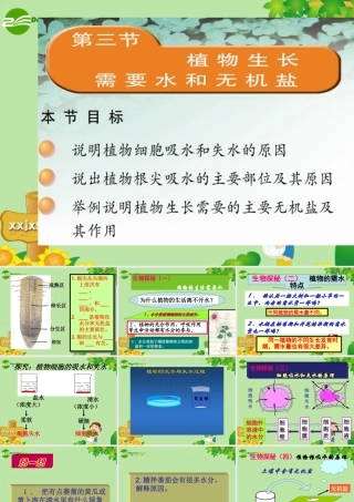 3 七年级生物上册 植物生长需要水和无机盐课件 苏教版