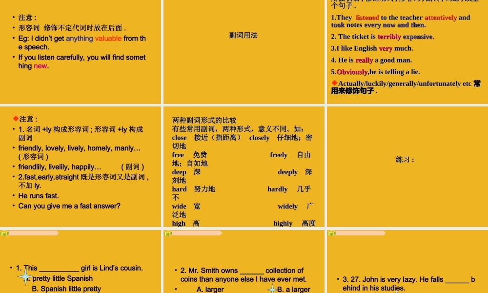 中考英语语法考点石专题复习23 课件