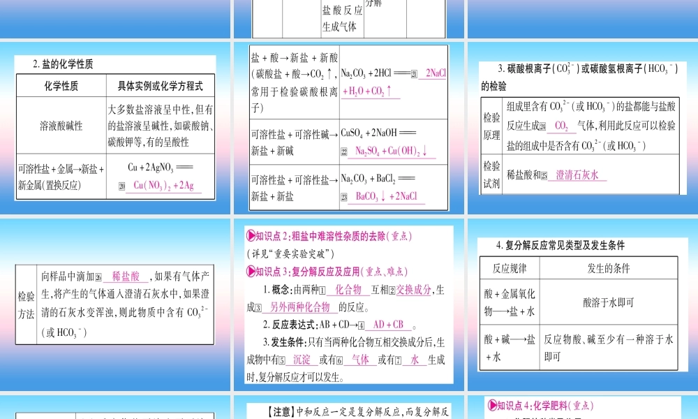(云南专用)中考化学总复习 第1部分 教材系统复习 九下 第11单元 盐 化肥(精讲)课件