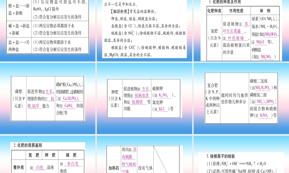 (云南专用)中考化学总复习 第1部分 教材系统复习 九下 第11单元 盐 化肥(精讲)课件