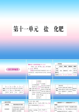 (云南专用)中考化学总复习 第1部分 教材系统复习 九下 第11单元 盐 化肥(精讲)课件