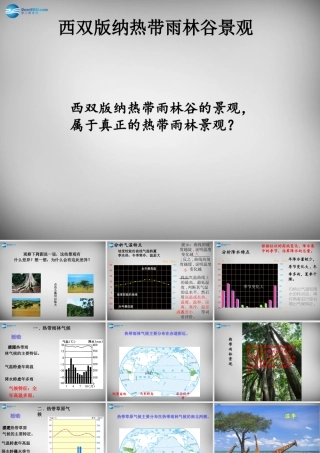 七年级地理上册 第四章 世界的气候课件 湘教版 课件