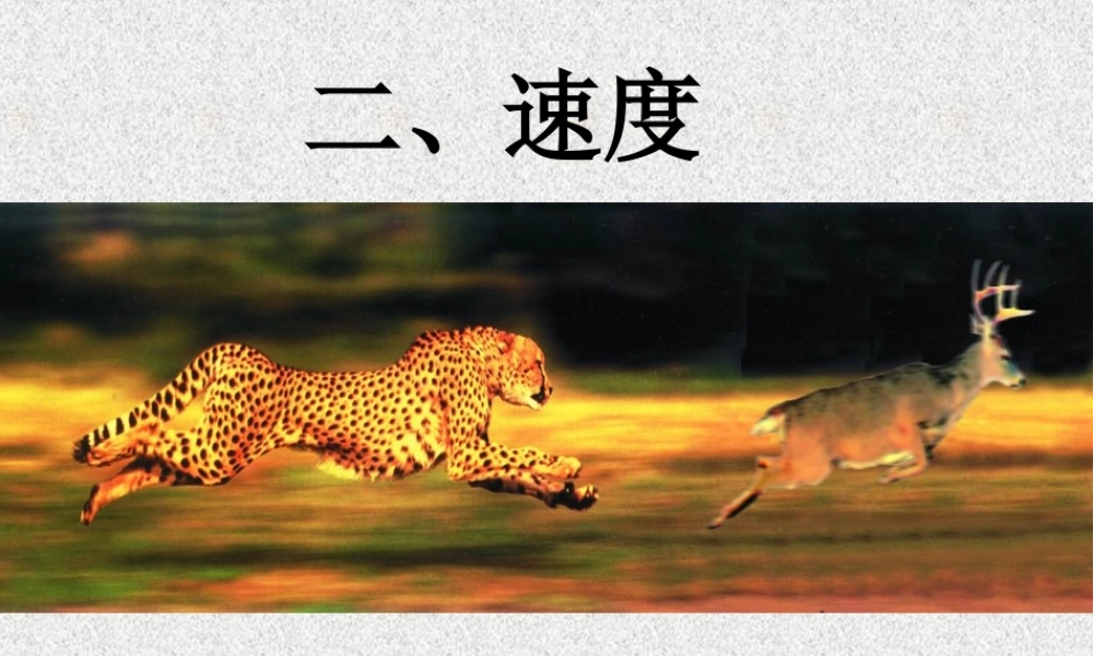 8.5.2速度 八年级物理上册速度这节课件教案学案等苏科版 八年级物理上册速度这节课件教案学案等苏科版-2