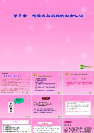七年级数学上册 5.2.2代数式习题课件 青岛版 课件