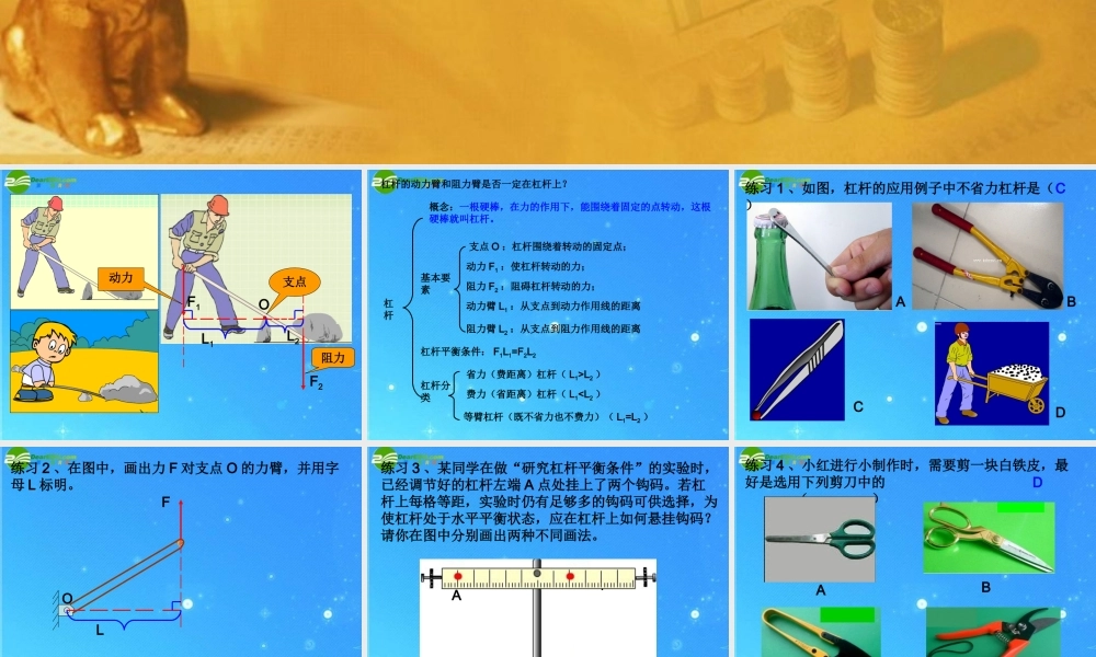 中考科学专题复习 简单机械课件 华东师大版 课件