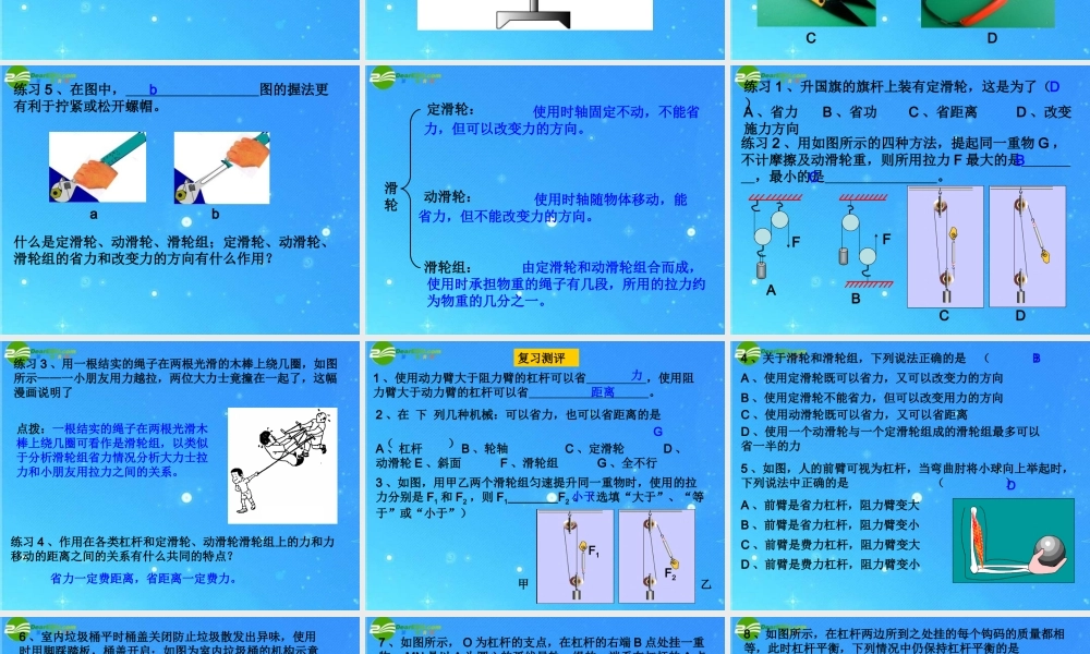 中考科学专题复习 简单机械课件 华东师大版 课件