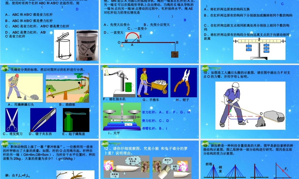 中考科学专题复习 简单机械课件 华东师大版 课件