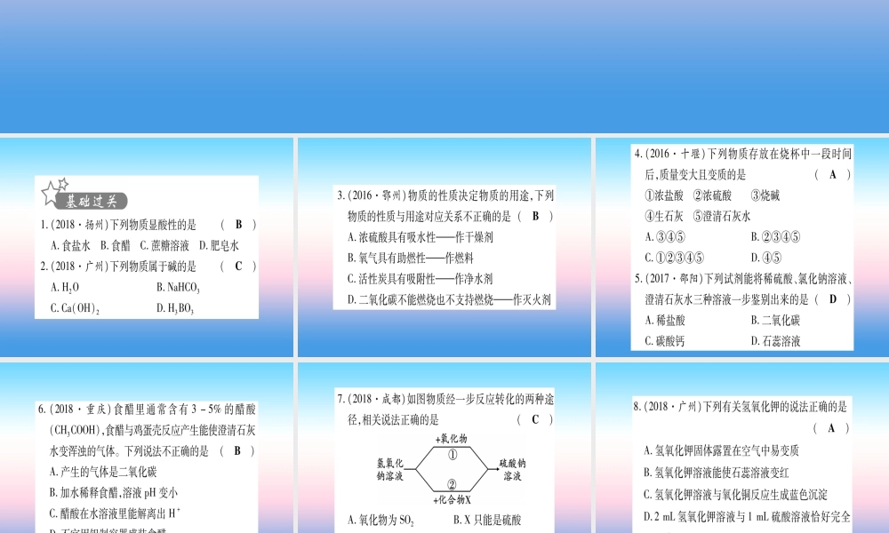 (湖北专版)中考化学总复习 第1部分 教材系统复习 九下 第10单元 酸和碱习题课件1 课件