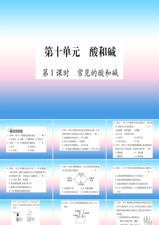 (湖北专版)中考化学总复习 第1部分 教材系统复习 九下 第10单元 酸和碱习题课件1 课件