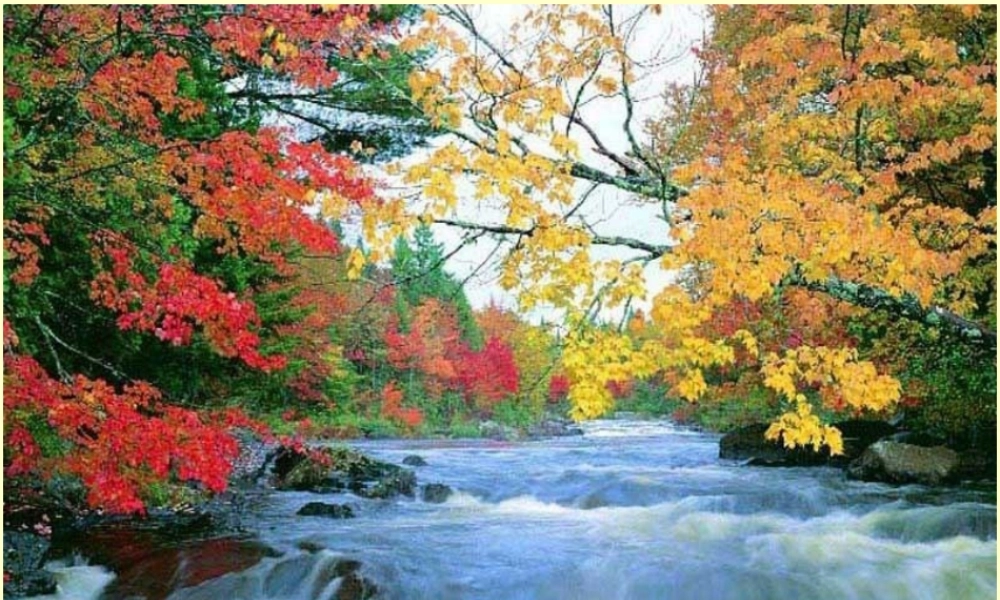 (秋天)课件4 七年级语文上册第三单元(秋天)课件8套人教版