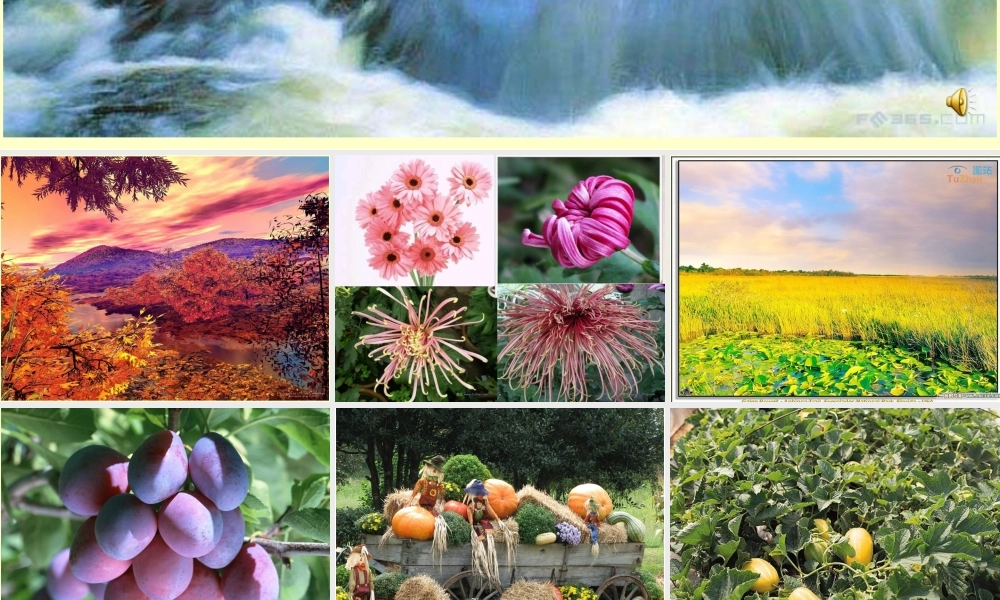 (秋天)课件4 七年级语文上册第三单元(秋天)课件8套人教版