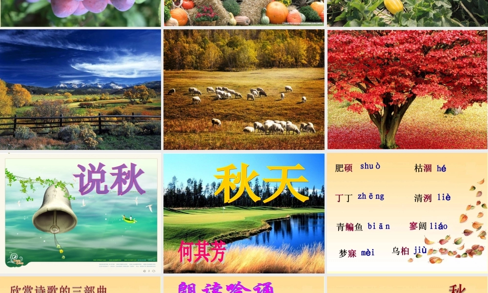 (秋天)课件4 七年级语文上册第三单元(秋天)课件8套人教版