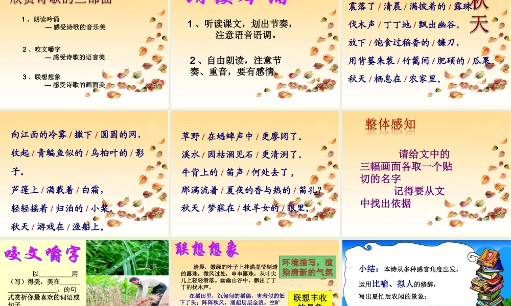 (秋天)课件4 七年级语文上册第三单元(秋天)课件8套人教版
