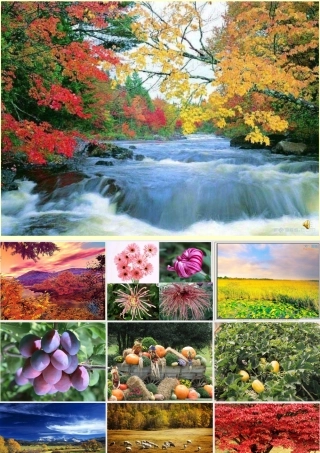 (秋天)课件4 七年级语文上册第三单元(秋天)课件8套人教版