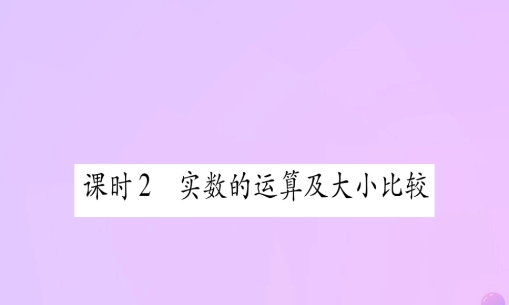 (云南专用)中考数学 第一轮 考点系统复习 第1章 数与式 第1节 实数 课时2作业课件