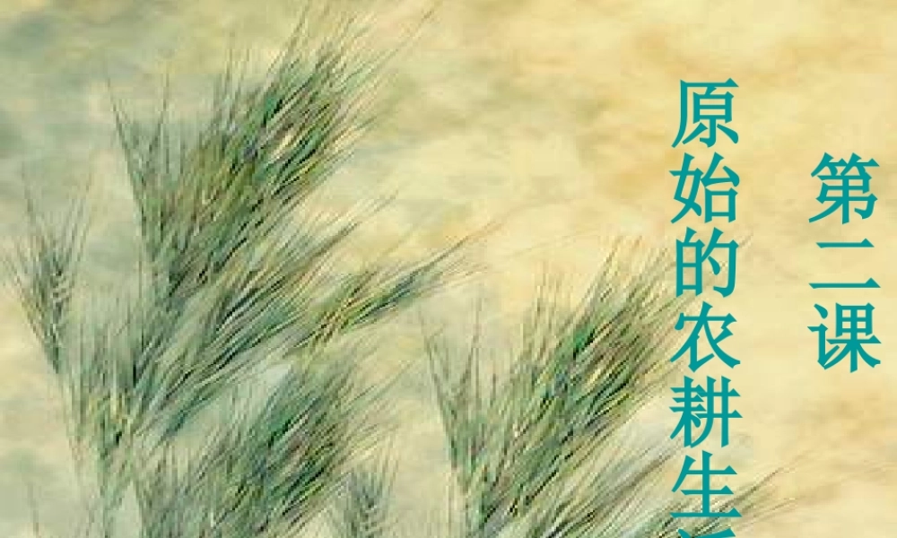 七年级历史上册 第2课 原始的农耕生活课件 新人教版 课件