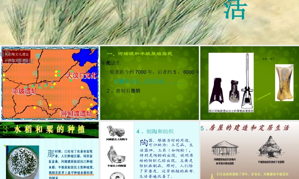 七年级历史上册 第2课 原始的农耕生活课件 新人教版 课件