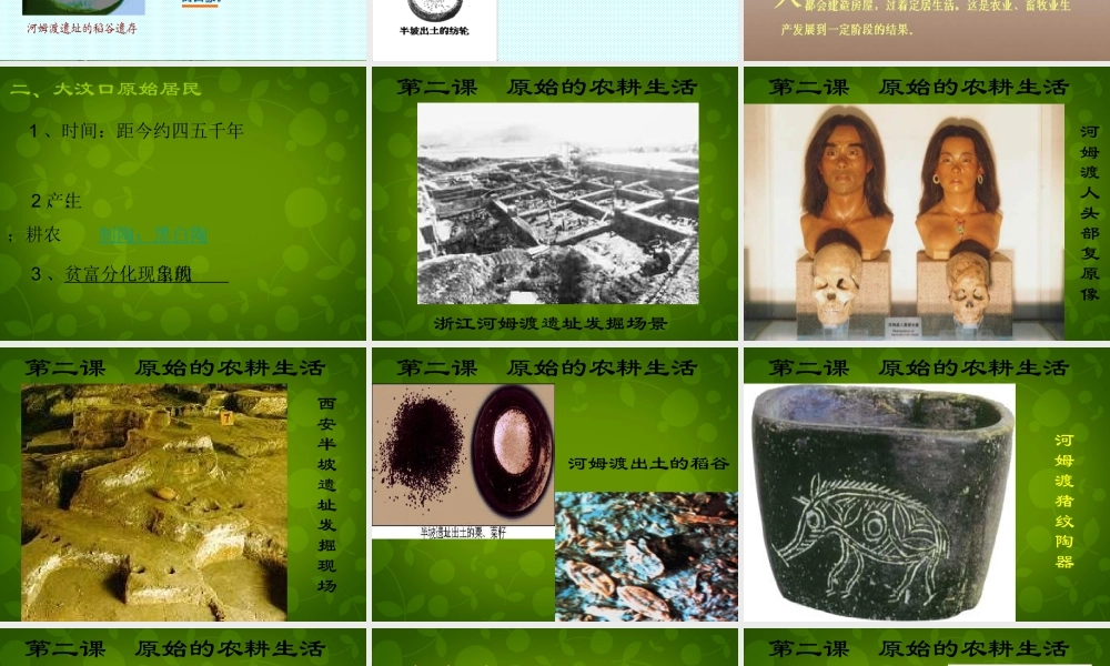 七年级历史上册 第2课 原始的农耕生活课件 新人教版 课件
