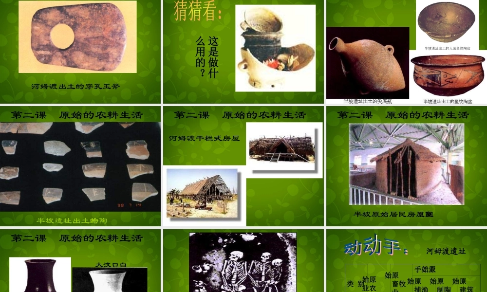 七年级历史上册 第2课 原始的农耕生活课件 新人教版 课件