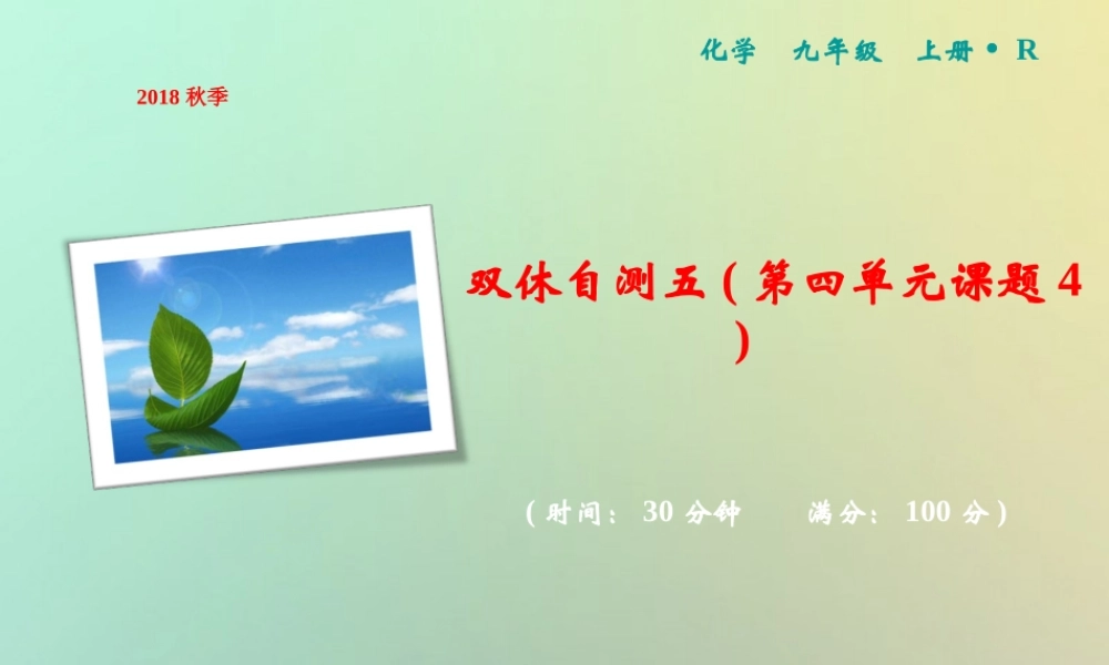 九年级化学上册 双休自测五(第四单元 课题4)作业课件 (新版)新人教版 课件