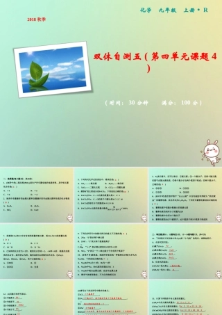 九年级化学上册 双休自测五(第四单元 课题4)作业课件 (新版)新人教版 课件