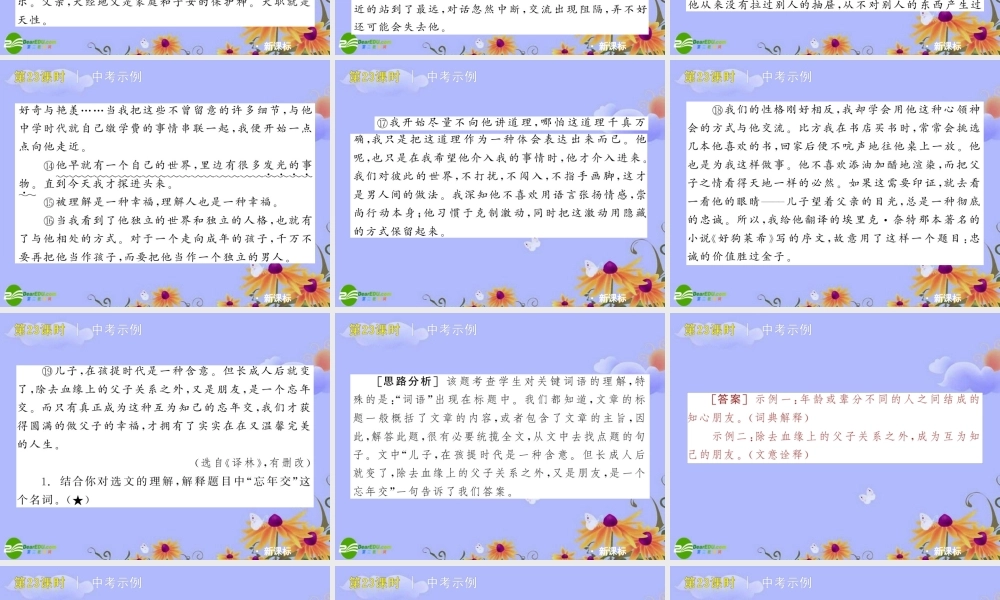 中考语文复习方案 (散文阅读—语言得色词句，欣赏特色语言)课件 人教新课标版 课件