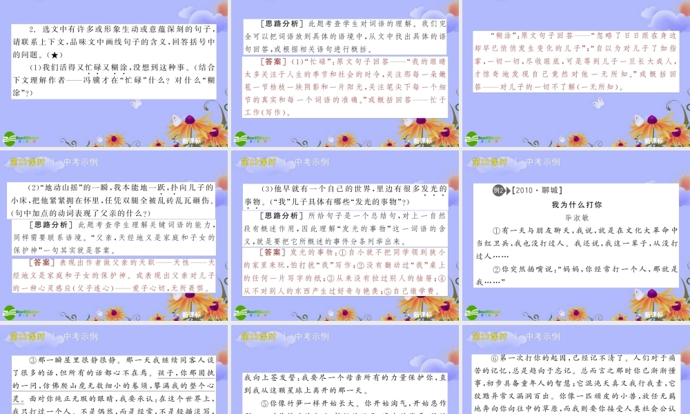 中考语文复习方案 (散文阅读—语言得色词句，欣赏特色语言)课件 人教新课标版 课件