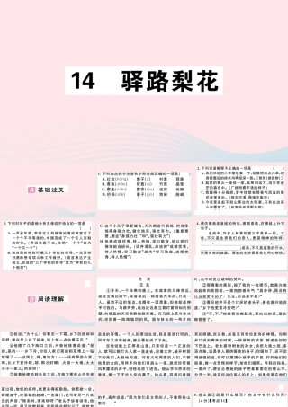 (通用版)文下册 第四单元 14 驿路梨花习题课件 新人教版 课件