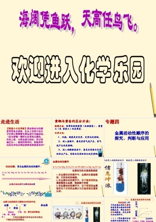 九年级化学 金属活动性顺序的探究课件 鲁教版  课件