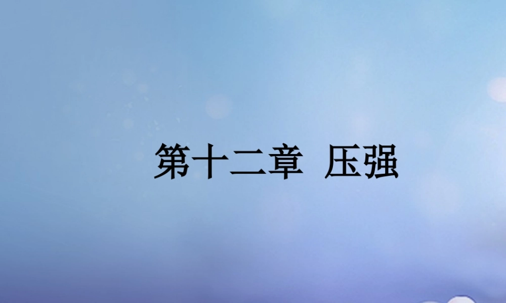 中考物理总复习 第十二章 压强课件