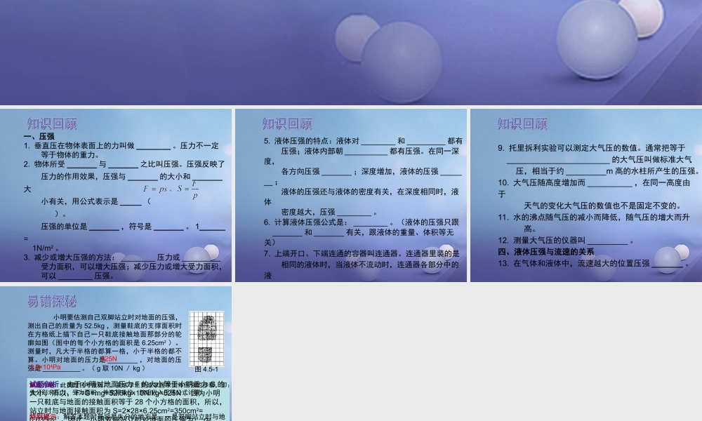 中考物理总复习 第十二章 压强课件