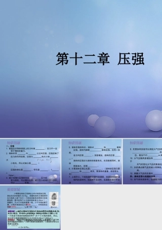 中考物理总复习 第十二章 压强课件
