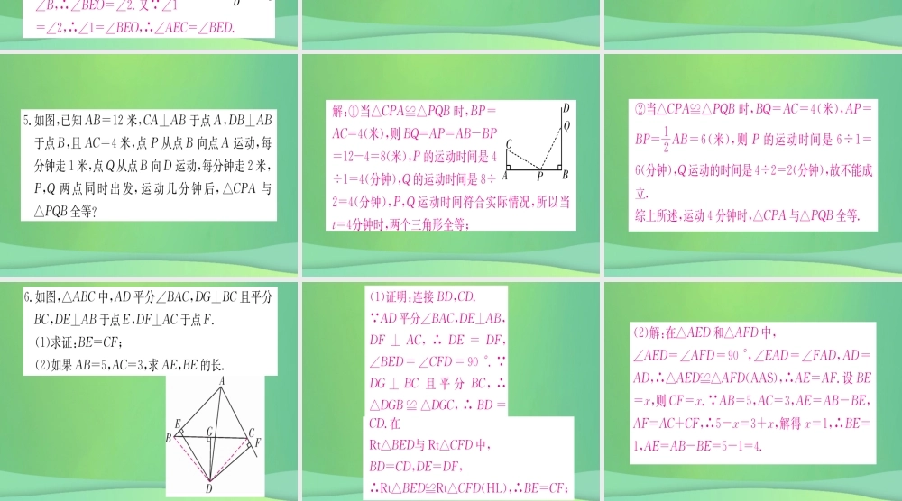 (江西专用)八年级数学上册 第12章 全等三角形江西常考命题点突破作业课件 (新版)新人教版 课件