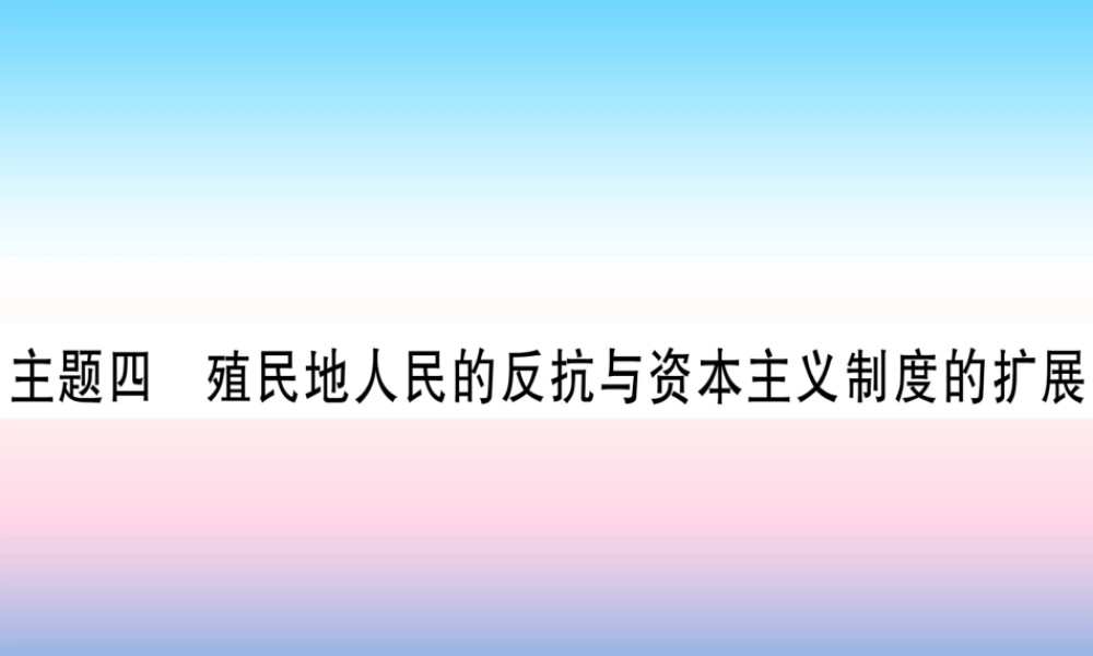(甘肃专用)中考历史总复习 第一篇 考点系统复习 板块五 世界近代史 主题四 殖民地人民的反抗与资本主义制度的扩展(精练)课件