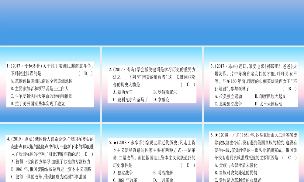 (甘肃专用)中考历史总复习 第一篇 考点系统复习 板块五 世界近代史 主题四 殖民地人民的反抗与资本主义制度的扩展(精练)课件