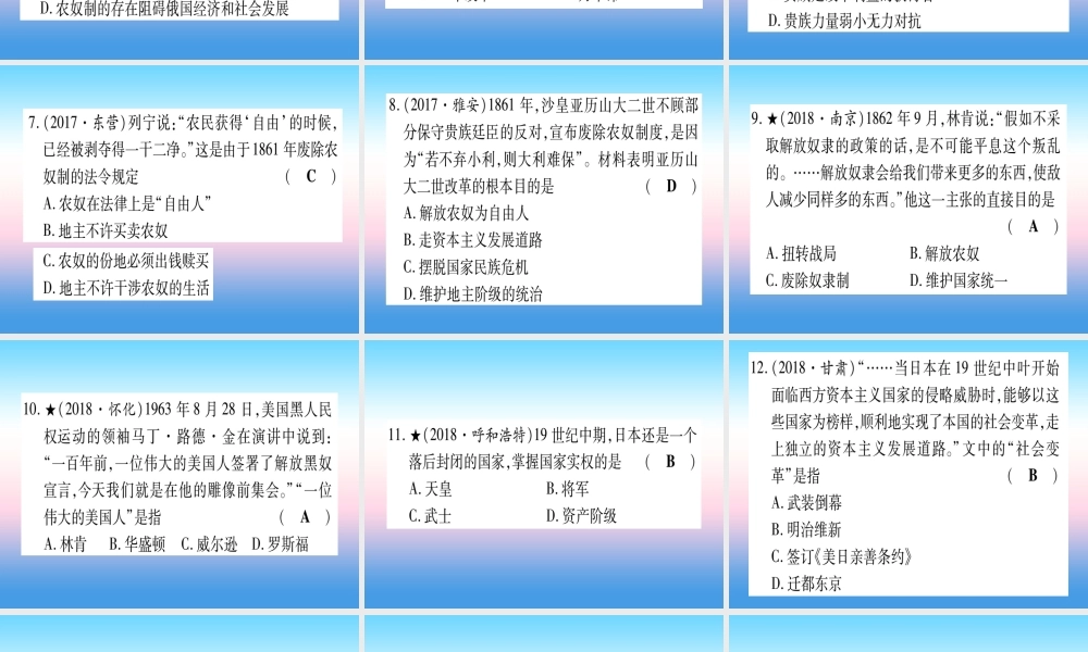 (甘肃专用)中考历史总复习 第一篇 考点系统复习 板块五 世界近代史 主题四 殖民地人民的反抗与资本主义制度的扩展(精练)课件