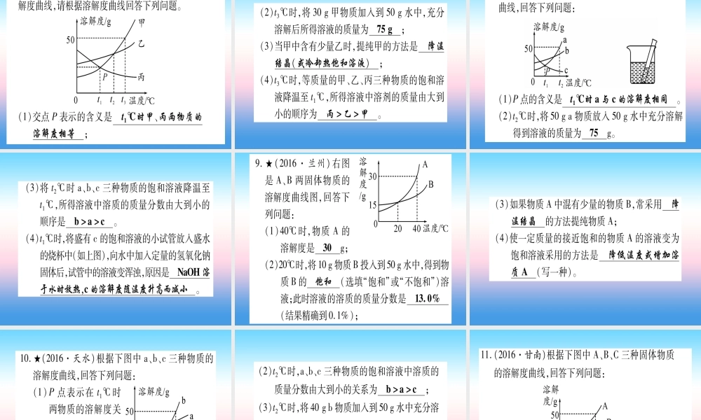 (甘肃专用)中考化学 专题突破三 溶解度及溶解度曲线(提分精练)课件