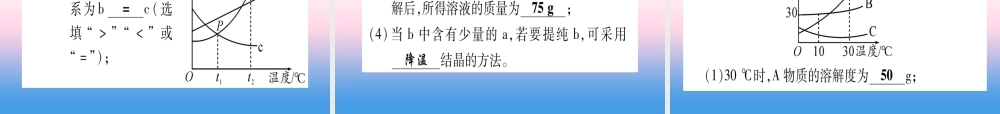 (甘肃专用)中考化学 专题突破三 溶解度及溶解度曲线(提分精练)课件