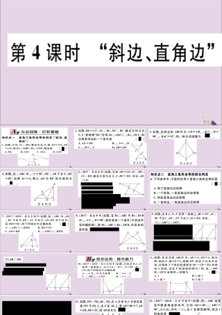(通用)秋八年级数学上册 12.2 三角形全等的判定 第4课时 斜边、直角边 习题讲评课件 (新版)新人教版 课件