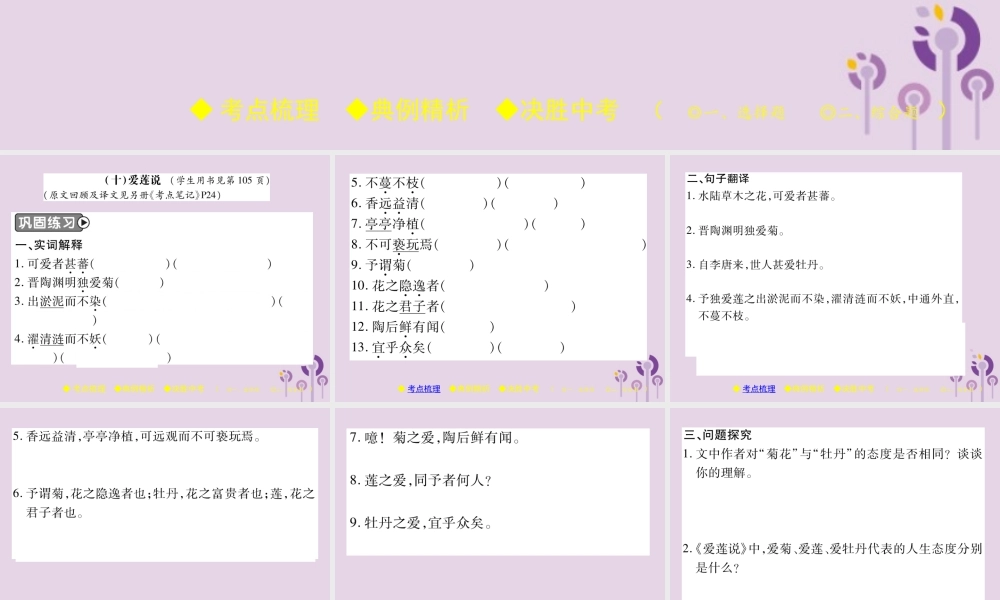 中考语文复习 第二部分 古诗文积累与阅读 专题二 文言文(十)(爱莲说)课件