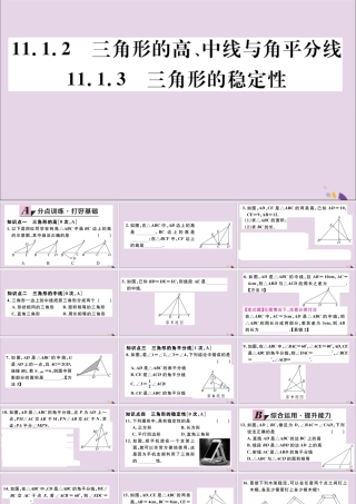 (河北专版)八年级数学上册 11.1 与三角形有关的线段 11.1.2 三角形的高、中线与角平分线 11.1.3 三角形的稳定性习题课件 (新版)新人教版 课件
