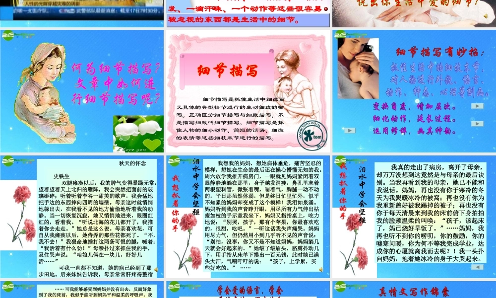 中考语文作文课件 因为爱所以爱 课件