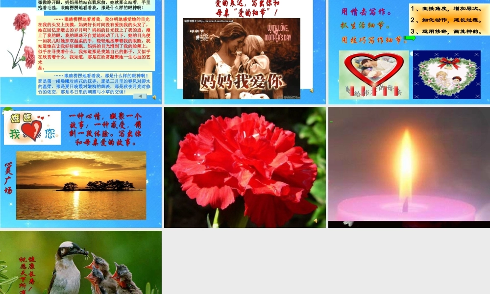 中考语文作文课件 因为爱所以爱 课件