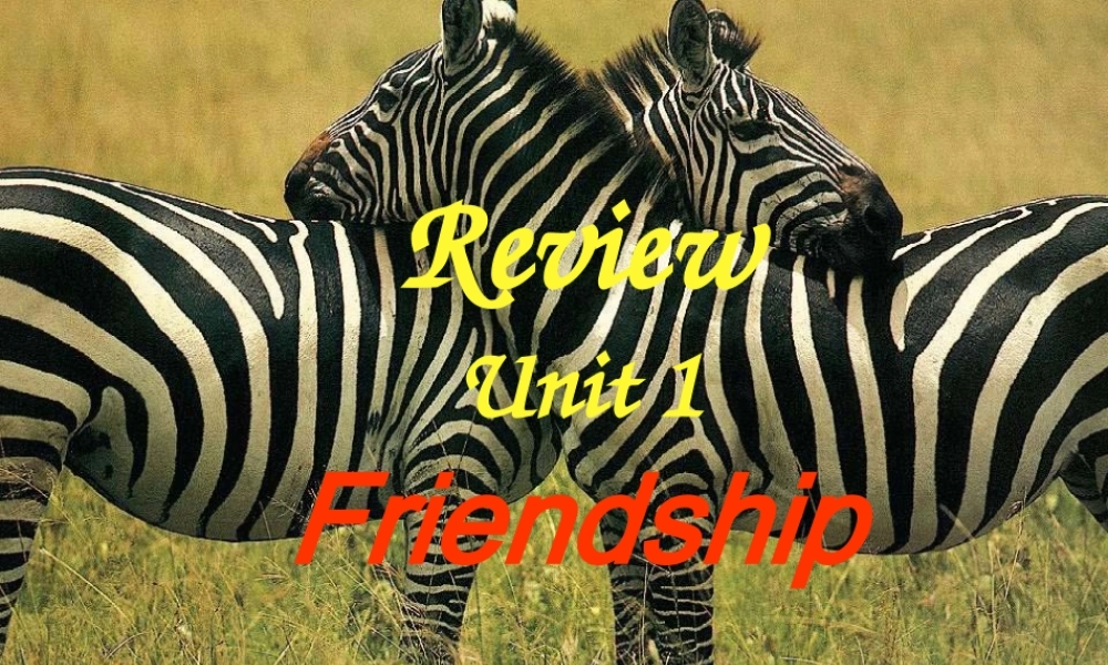 unit1复习 课件
