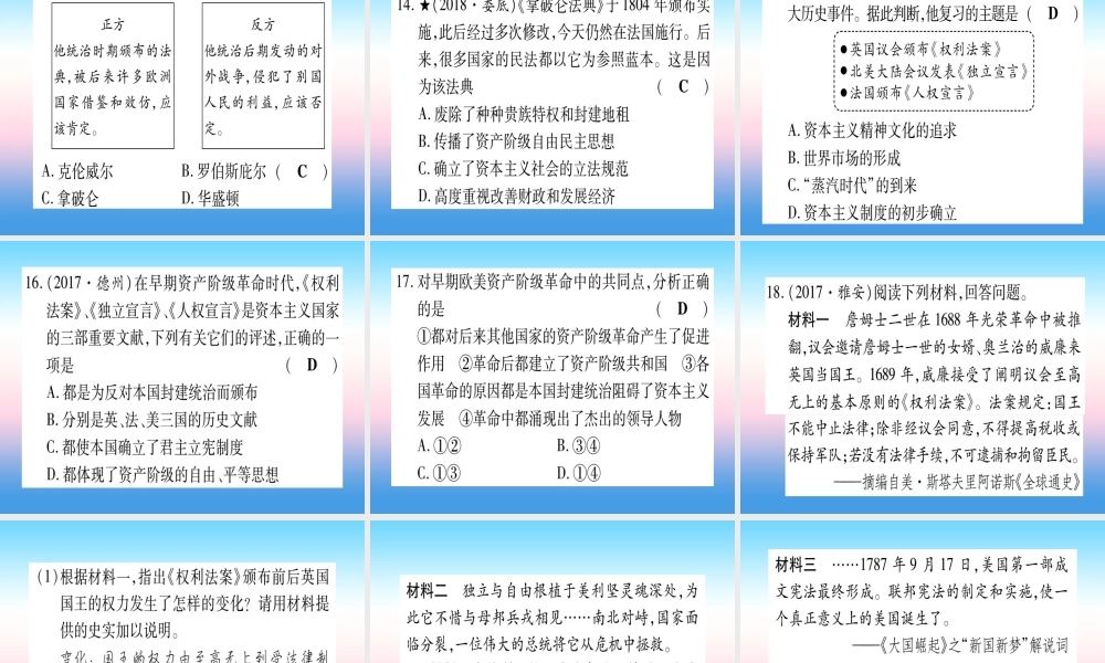 (甘肃专用)中考历史总复习 第一篇 考点系统复习 板块五 世界近代史 主题二 资本主义制度的初步确立(精练)课件