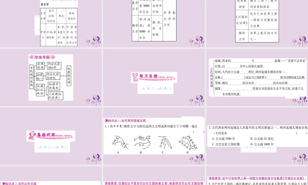 九年级历史上册 第1单元 古代亚非文明 第2课 古代两河流域习题课件 新人教版 课件