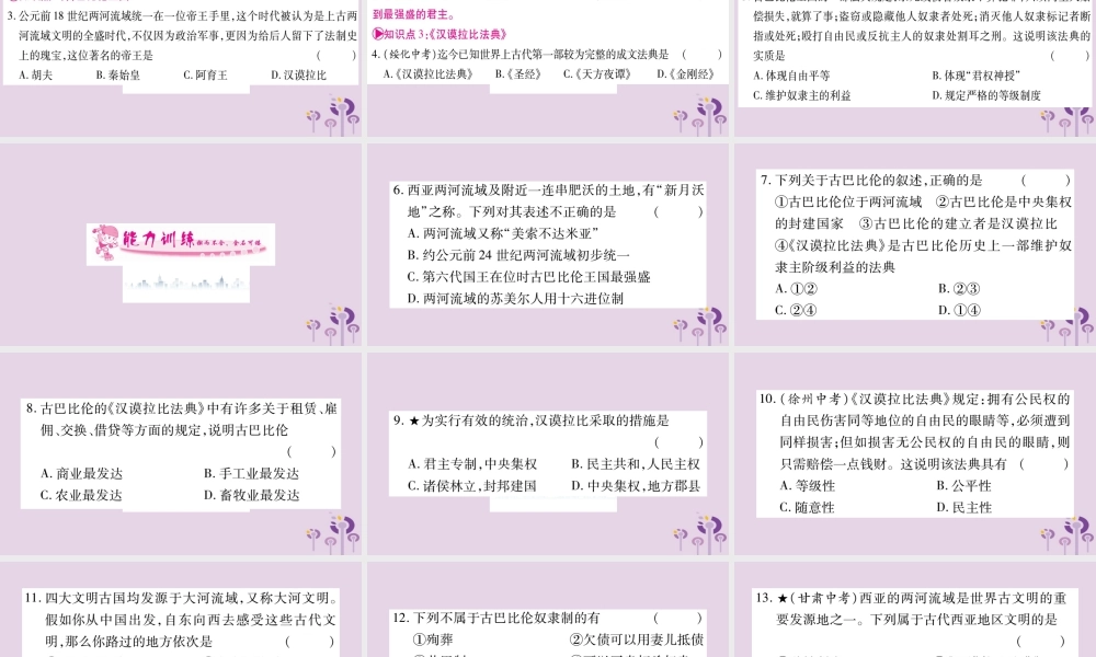 九年级历史上册 第1单元 古代亚非文明 第2课 古代两河流域习题课件 新人教版 课件